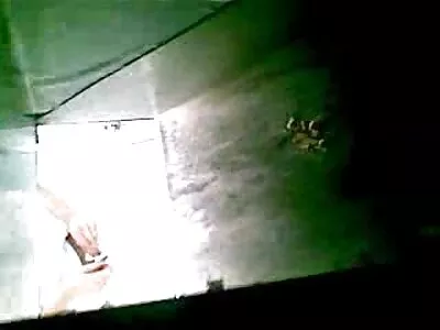 găurindu-i smulgea udă sexi brutal strânsă